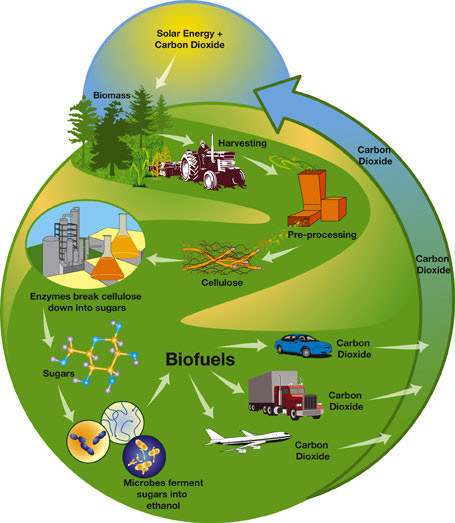 ENERGI ALTERNATIf (Biofuel)  Berkarya untuk Negeri